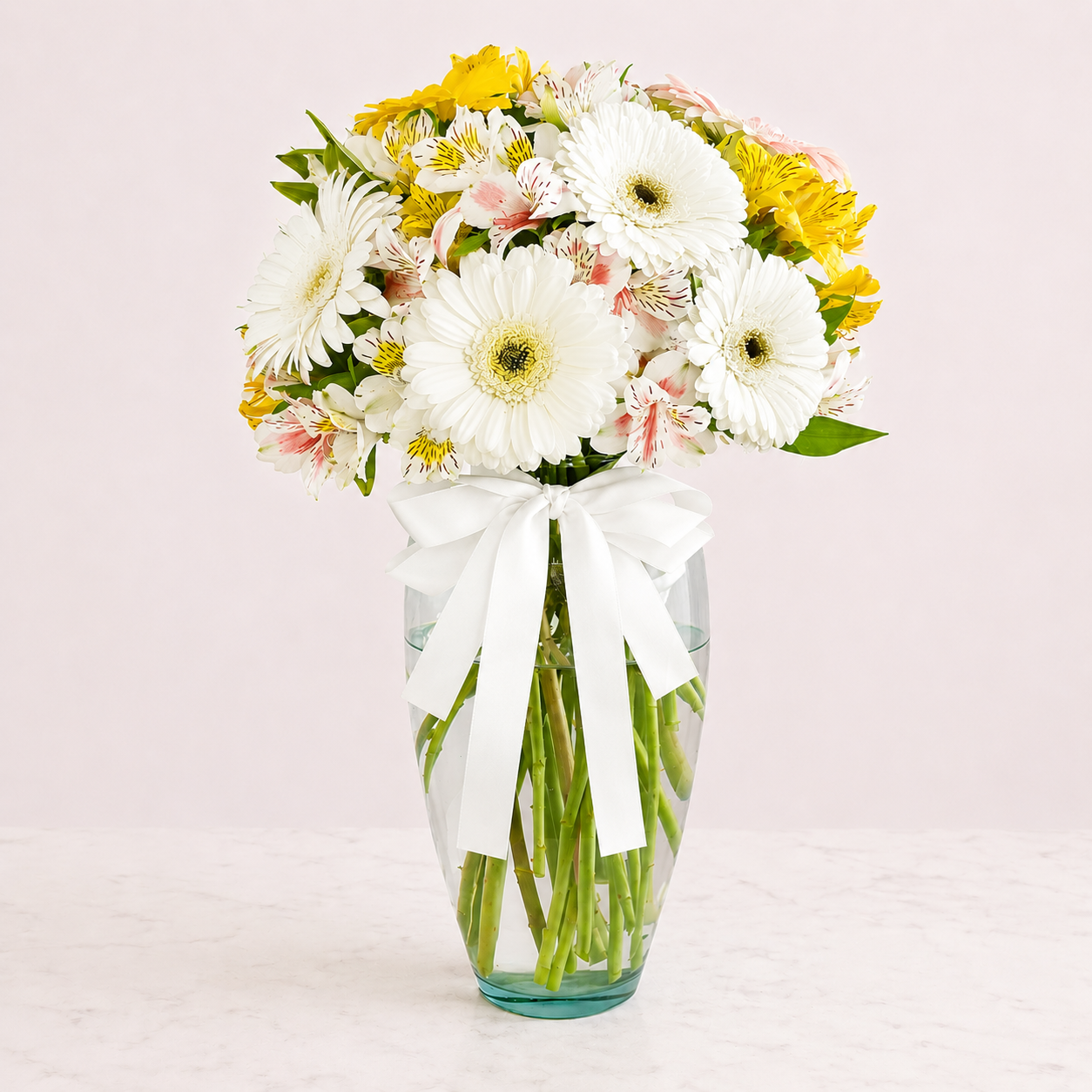 White Gerberas