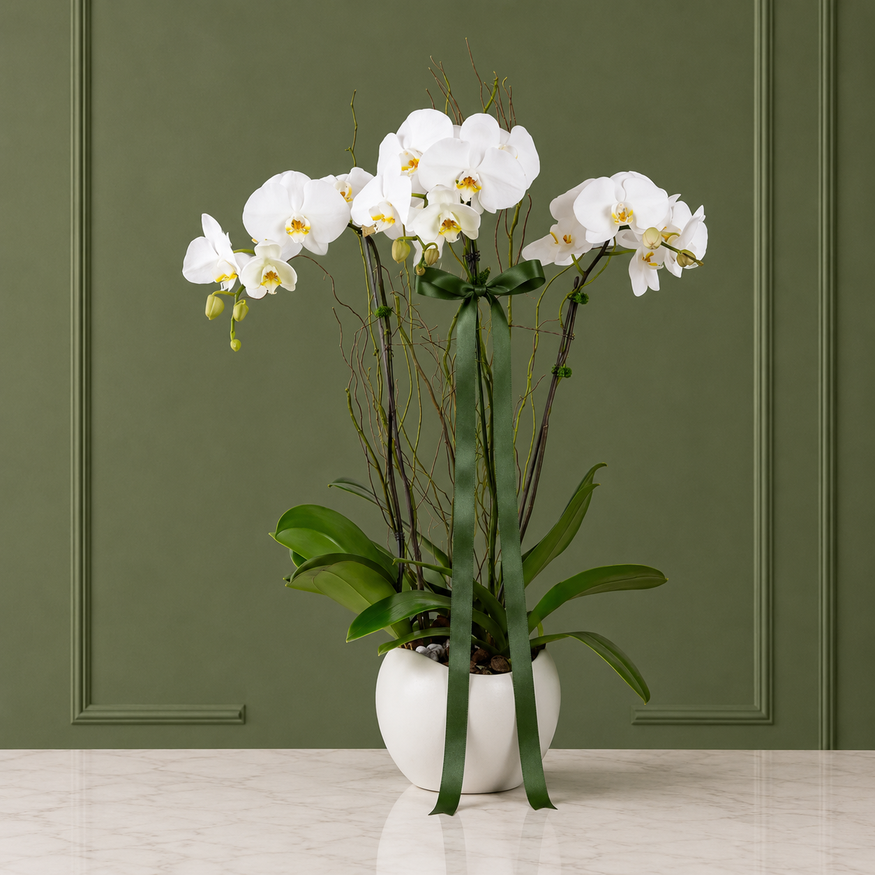 Potted plants and orchids